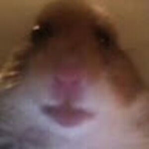 Meet your Posher, Thiago